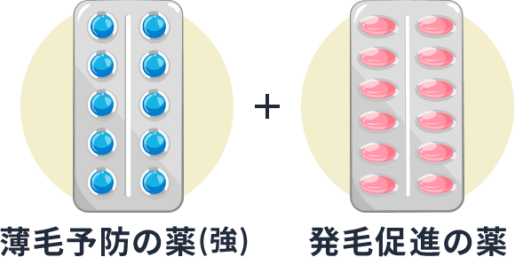 薄毛予防薬(強)+発毛促進薬